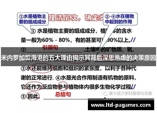 米内罗加盟海港的五大理由揭示其背后深思熟虑的决策原因