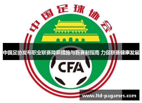 中国足协发布职业联赛降薪措施与新赛制指南 力促联赛健康发展