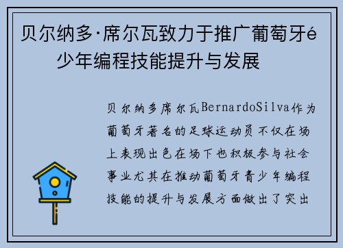 贝尔纳多·席尔瓦致力于推广葡萄牙青少年编程技能提升与发展