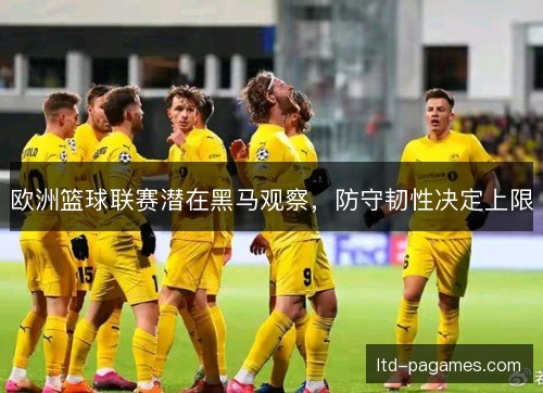 欧洲篮球联赛潜在黑马观察，防守韧性决定上限