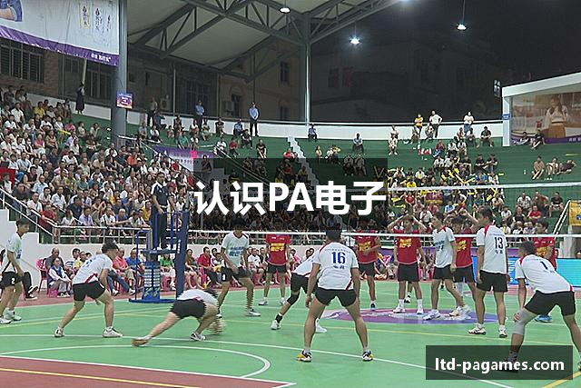 认识PA电子